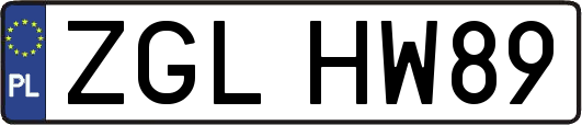 ZGLHW89