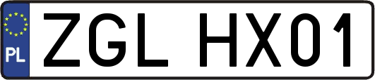 ZGLHX01