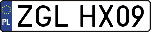 ZGLHX09