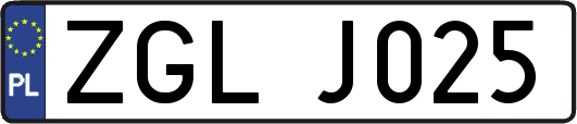 ZGLJ025