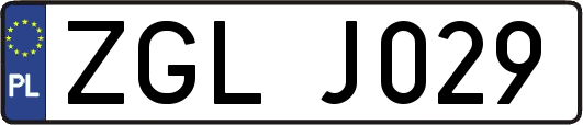 ZGLJ029