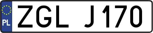 ZGLJ170