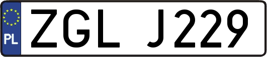 ZGLJ229