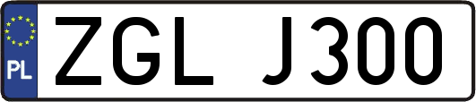ZGLJ300