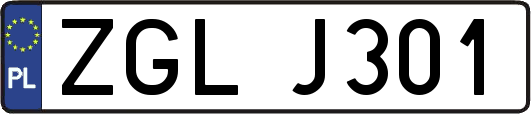 ZGLJ301