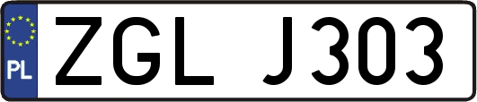 ZGLJ303