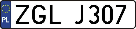 ZGLJ307
