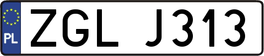 ZGLJ313