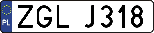 ZGLJ318