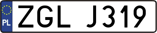 ZGLJ319
