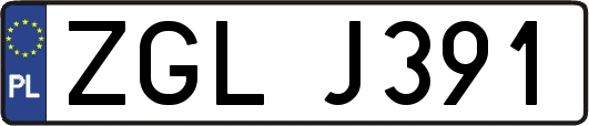 ZGLJ391