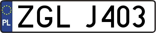 ZGLJ403