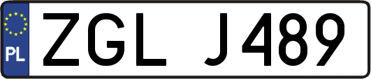 ZGLJ489