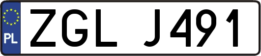 ZGLJ491