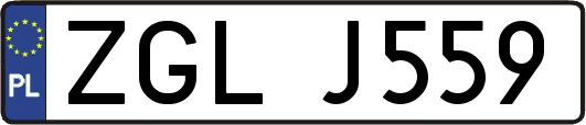 ZGLJ559