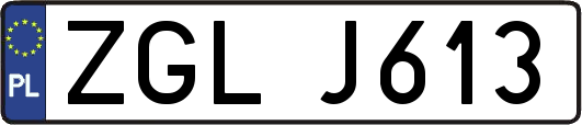 ZGLJ613