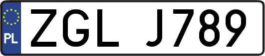 ZGLJ789