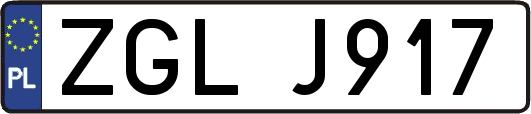 ZGLJ917