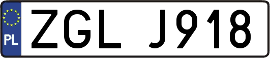 ZGLJ918