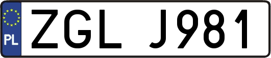 ZGLJ981