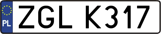 ZGLK317