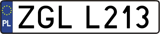 ZGLL213