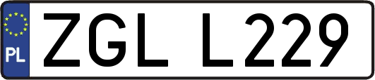 ZGLL229