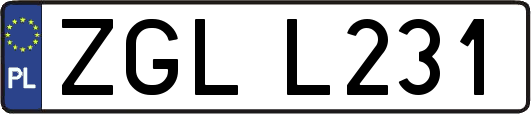 ZGLL231