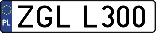 ZGLL300
