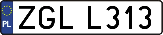 ZGLL313