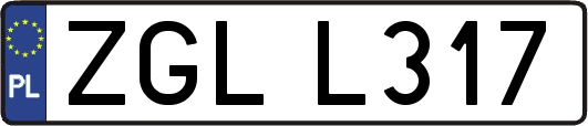 ZGLL317
