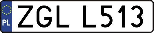 ZGLL513