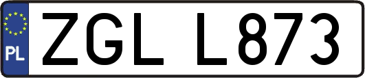 ZGLL873