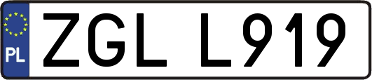ZGLL919