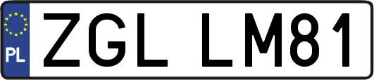 ZGLLM81