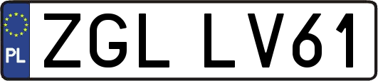 ZGLLV61