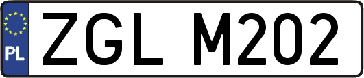 ZGLM202