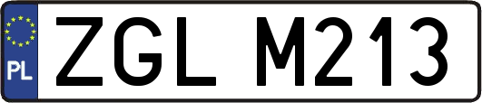 ZGLM213