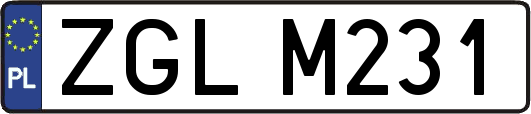 ZGLM231
