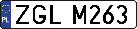 ZGLM263