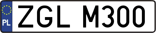 ZGLM300