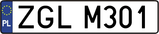 ZGLM301