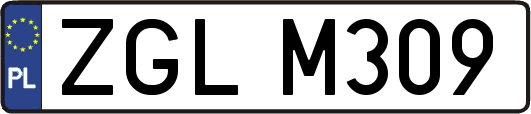 ZGLM309