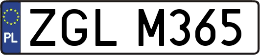 ZGLM365