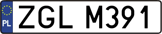 ZGLM391