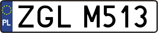 ZGLM513