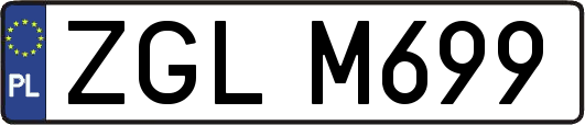 ZGLM699