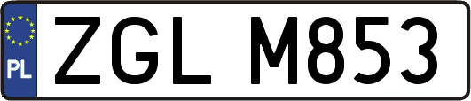 ZGLM853