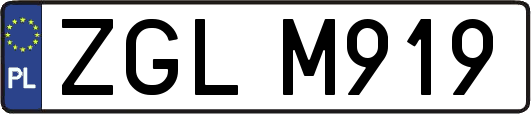ZGLM919