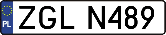 ZGLN489